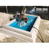 Cool Dog Splash Pool 2 1