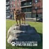 Large Luxury Boulder | Dog Park Outfitters