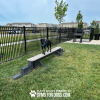 JumpBalanceBeam GymsForDogs MaggieHarmony4