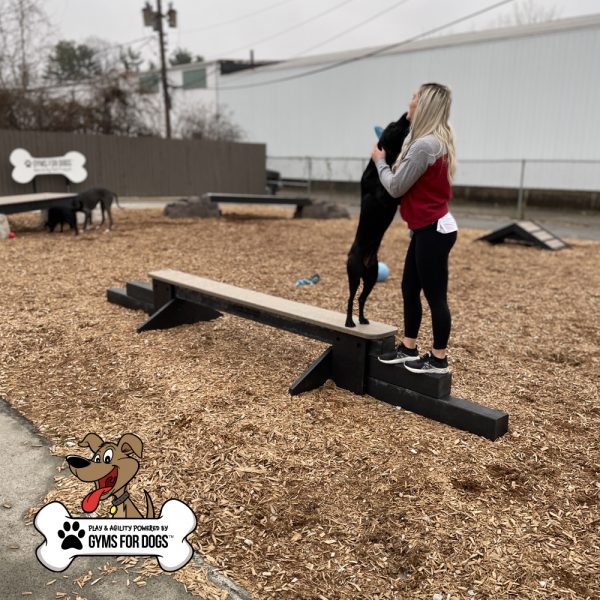 Jump Balance Beam