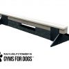 dog park equipment jump balance beam short nutmeg