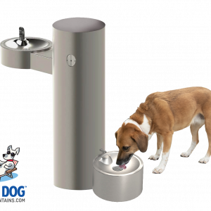 COOL DOG™ Water Fountain - Dog Bowl w/ ADA Bowl