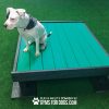 Dog Playground Equipment Training Platform LX 03