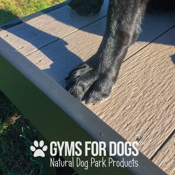 Dog Playground Equipment Training Platform LX 06