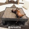 DogonBackTrainingPlatform PG26