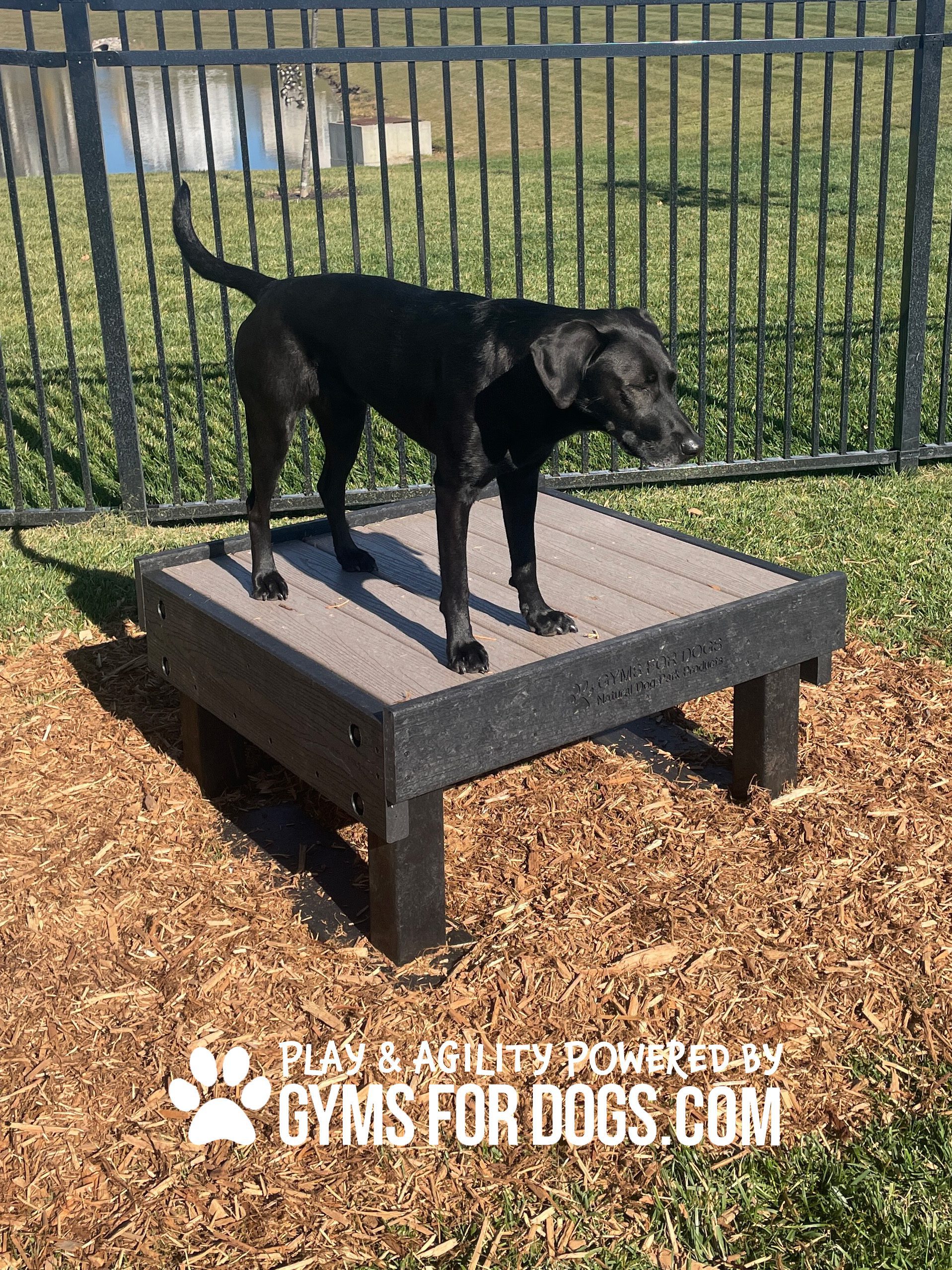 Dog Park Equipment & Agility Course Products