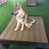Training Platform Nutmeg