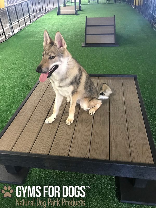 Training Platform Nutmeg