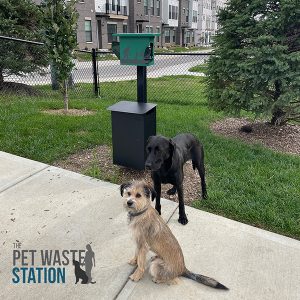 pet waste station in ground 4