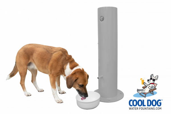 Doggie Demand COOL DOG Water Fountain Water Spout