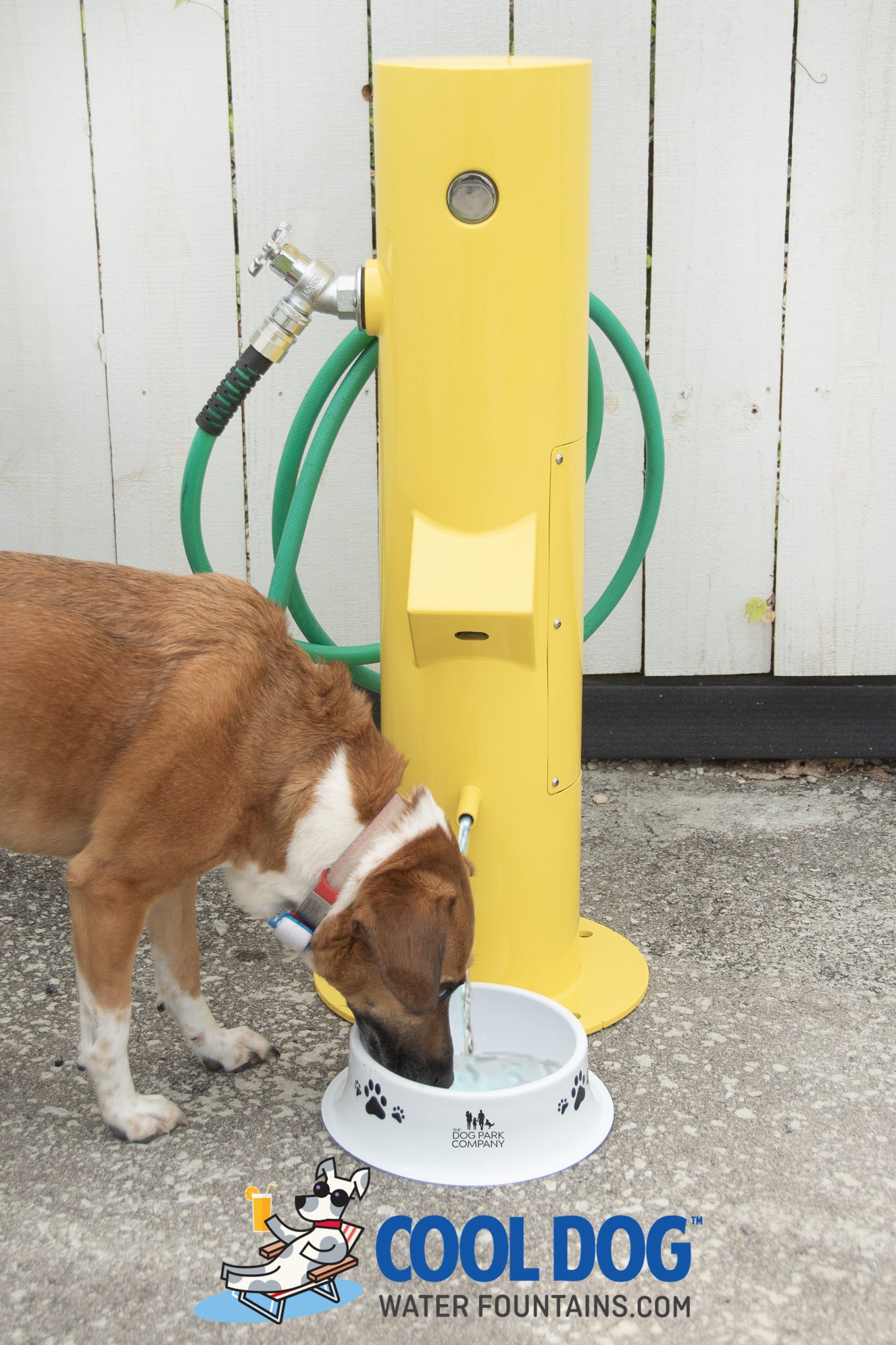 Doggie Demand™ Motion Activated Water Spout (Optional Pet Hose)