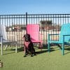 The Dog Park Chair Dog Park Outfitters