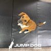 WrestlingMat JumpDog Black