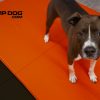 WrestlingMat JumpDog Red