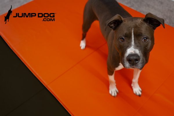 WrestlingMat JumpDog Red