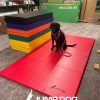 WrestlingMat JumpDog RedMaggie