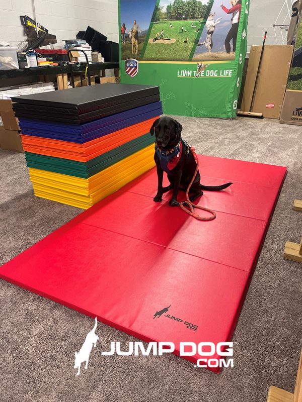 WrestlingMat JumpDog RedMaggie