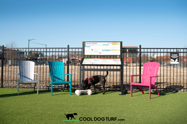 Cool Dog Turf ArchitecturalSeries Mag2
