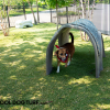 Cool Dog Turf ArchitecturalSeries RC