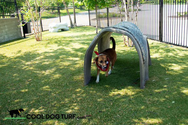 Cool Dog Turf ArchitecturalSeries RC
