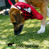 Cool Dog Turf ArchitecturalSeries RC2