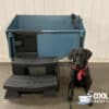 Cool Dog Wash Tub Blue with Maggie