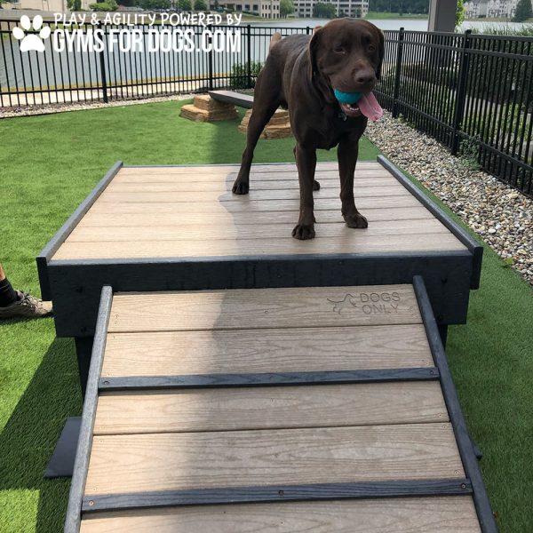 Dog Playground Equipment Bridge Climb12