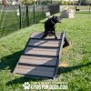 NEW VibrantPet Nutmeg GFD Harmony3