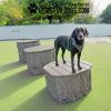 Nutmeg Jumping Stumps2