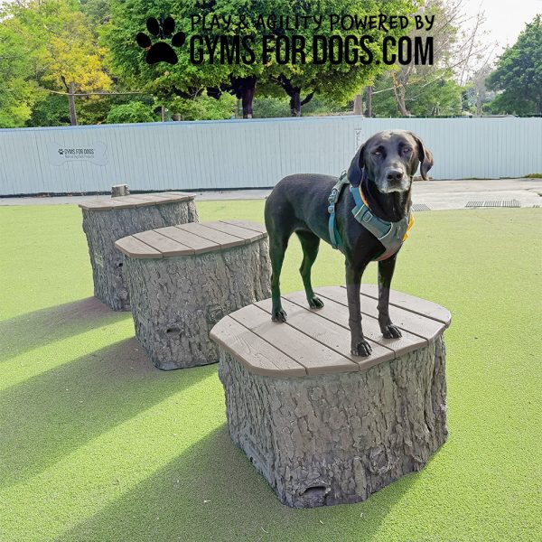 Nutmeg Jumping Stumps2
