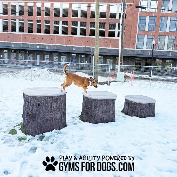 Nutmeg Jumping Stumps4