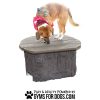 Nutmeg Jumping Stumps5