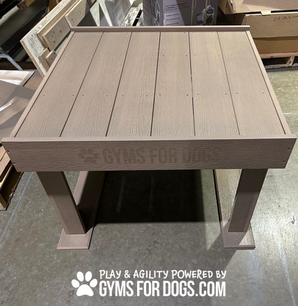 Boogie'sTrainingPlatform GymsForDogs Nutmeg