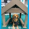 BoogiesTunnelHouse GymsForDogs ACE