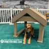 BoogiesTunnelHouse GymsForDogs ACE4