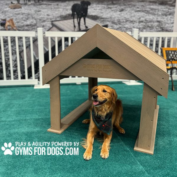 BoogiesTunnelHouse GymsForDogs ACE4