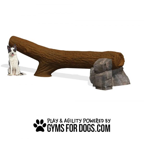 AgilityBalanceLog AnimalAgilitySeries GymsForDogs