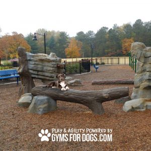 Agility Balance Log - Animal Agility Series
