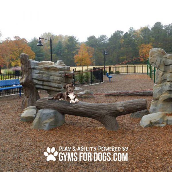 Agility Balance Log - Animal Agility Series