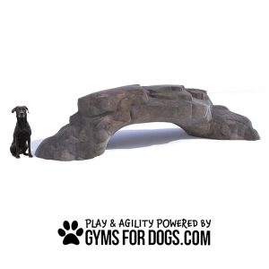 AgilityHill AnimalAgility GymsForDogs1