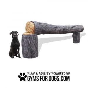 Interactive Animal Series - Agility Log Balance