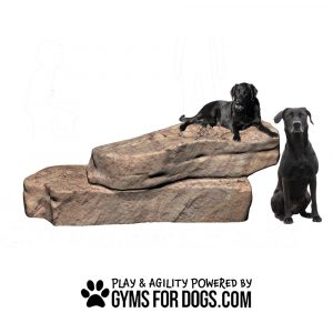 Interactive Animal Series - Agility Overlook Flat