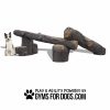 GymsForDogs InteractivePackLogs