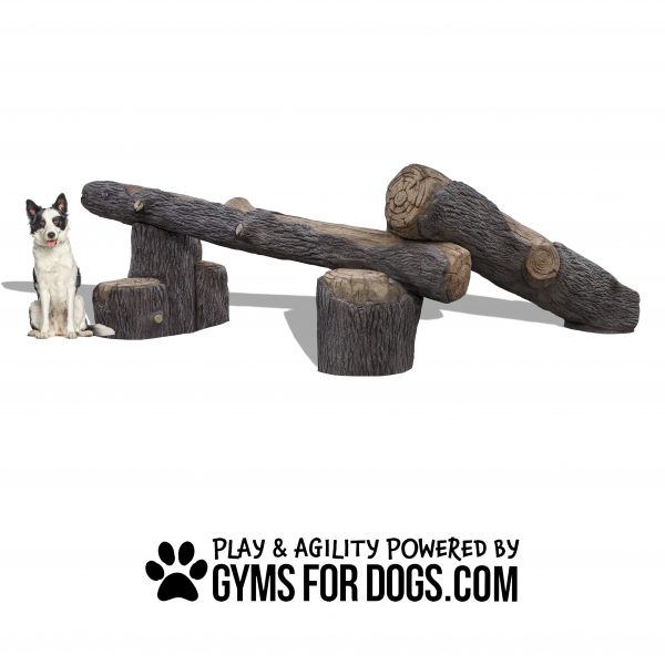 GymsForDogs InteractivePackLogs