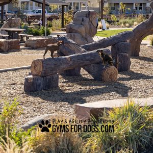 GymsForDogs InteractivePackLogs2