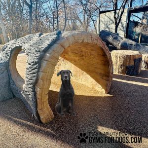 GymsForDogs LogTunnelClimb5