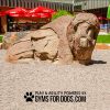 Interactive Animal Series - Ranger Climbing Boulder