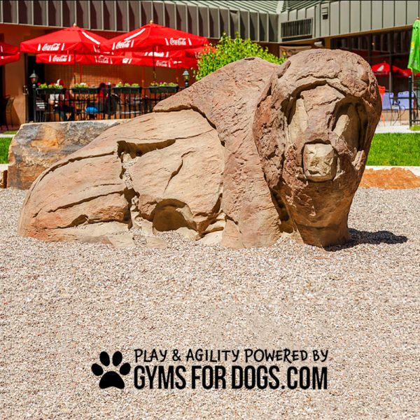 Interactive Animal Series - Ranger Climbing Boulder