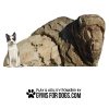GymsForDogs Ranger3