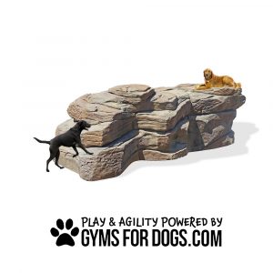 InteractiveParkBOulder InteractiveSeries GymsForDogs